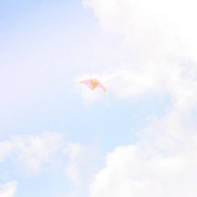 扶瑶九歌破解版下载